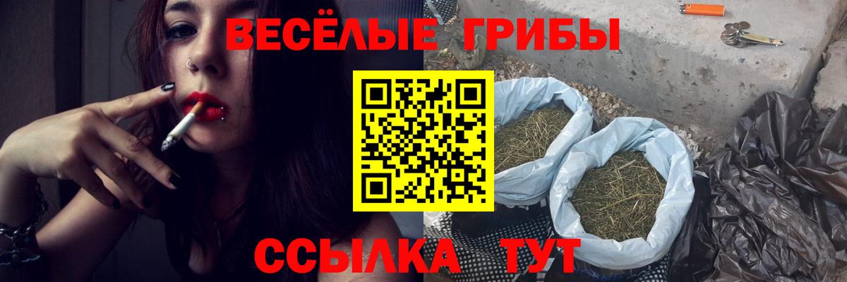 Псилоцибиновые грибы Psilocybine cubensis  Вход с VPN  Тында 